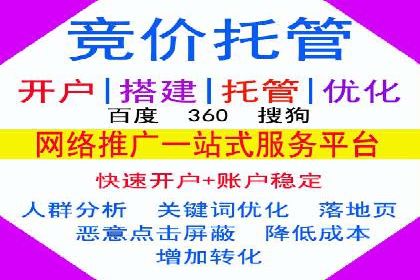 百度竞价代理操作手册：成功案例分析